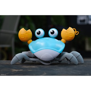 Cua đồ chơi cho bé Siêu Cute  đồ chơi hồ bơi cho bé dắt đi dạo - Đồ chơi cho bé