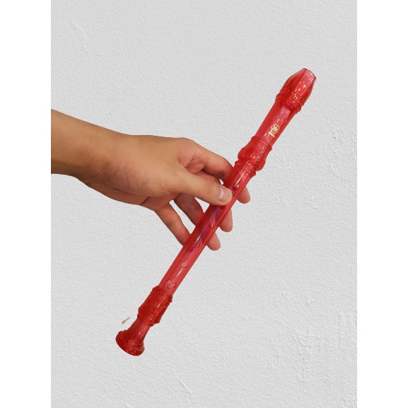 Sáo recorder Yamaha YRS-20B ba màu