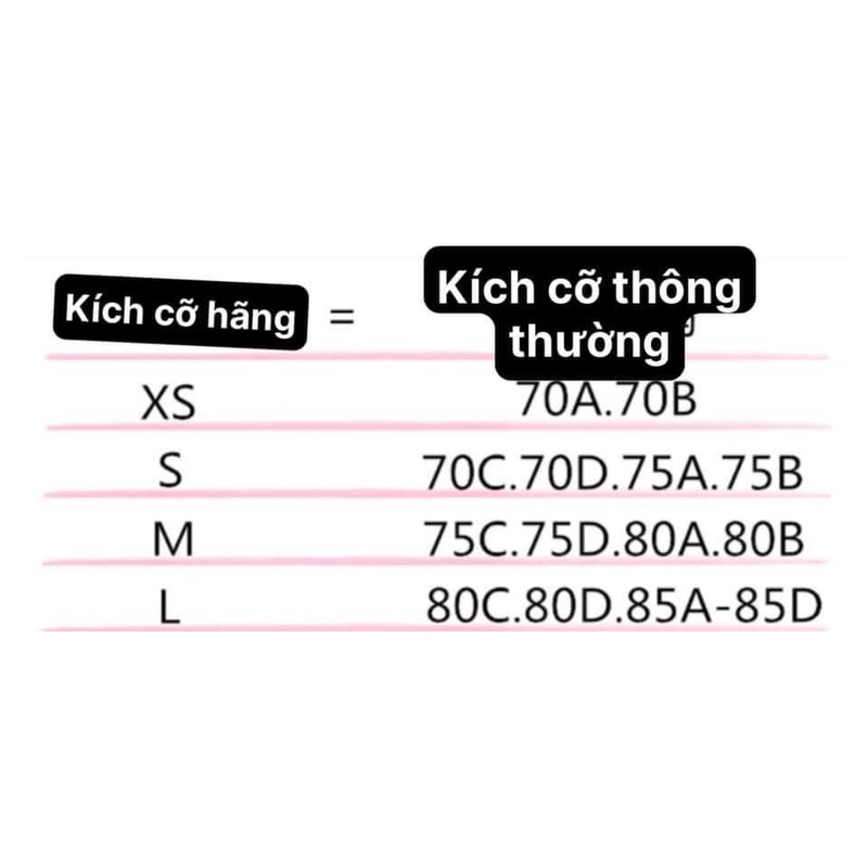 Áo bra chip ren cao cấp hàng vợt sale cho nữ