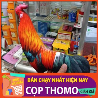 [thuốc đá gà cựa sắt] Gà giả tập lực cho gà loại tốt phụ kiện đá gà