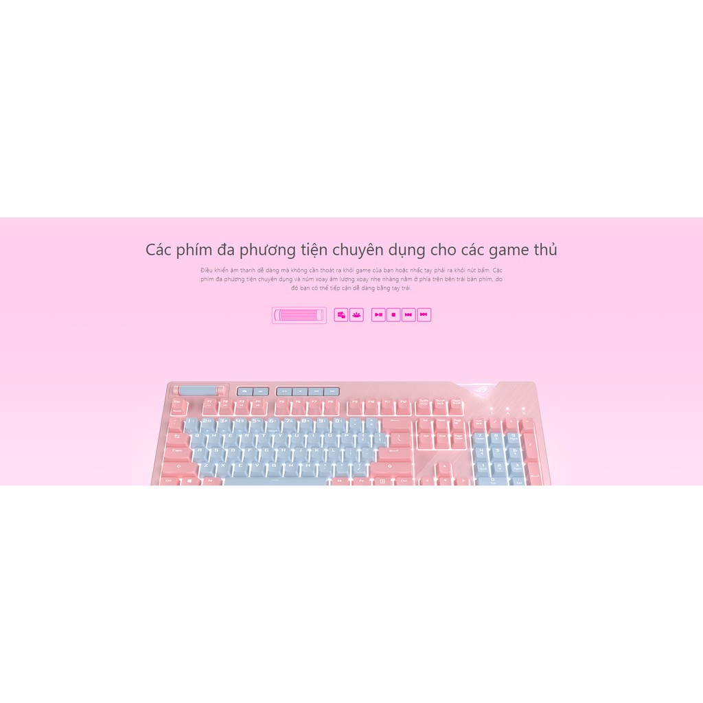 Bàn phím cơ Asus ROG Strix Flare Pink Edition I Bàn phím màu hồng xám I Sử dung switch Cherry RGB của Đức, đèn led RGB