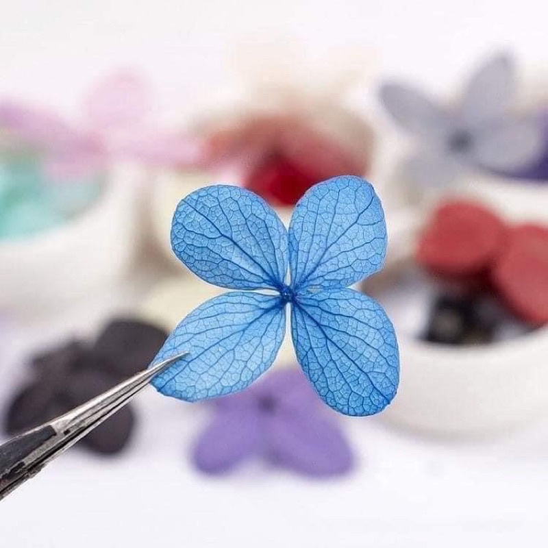 Hoa khô lụa cánh to làm nail-Phụ kiện trang trí nail