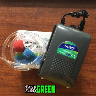 Sục oxi 2 vòi [tặng vòi và sủi]