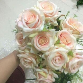 Hồng tàu 12 bông