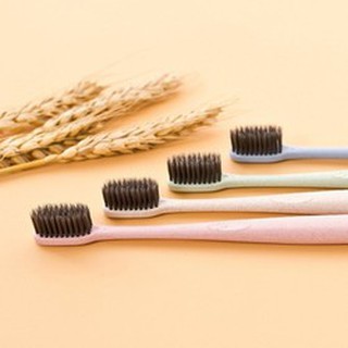 Bàn chải đánh răng lúa mạch than tre