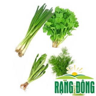 Combo Các Loại Rau Gia Vị (Hành Lá, Ngò Rí, Thì Là, Ngò Gai)  - Hạt Giống Chịu Nhiệt