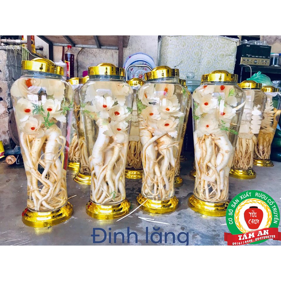 Bình sâm thủy tinh ngâm rượu 3,5,7 lít