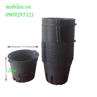 Chậu nhựa trồng lan phi 16 (combo 10 chậu)