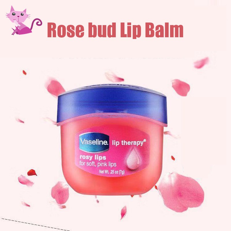 VVBK Vaseline Lip Therapy Dry Lip Advanced Formula Rosy Original For Women for Every One 0.25 Oz