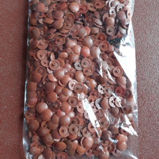 Bịt đầu vít 1000 miếng