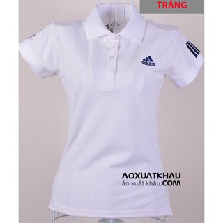 Áo Thun Cá Sấu Nữ Sành Điệu