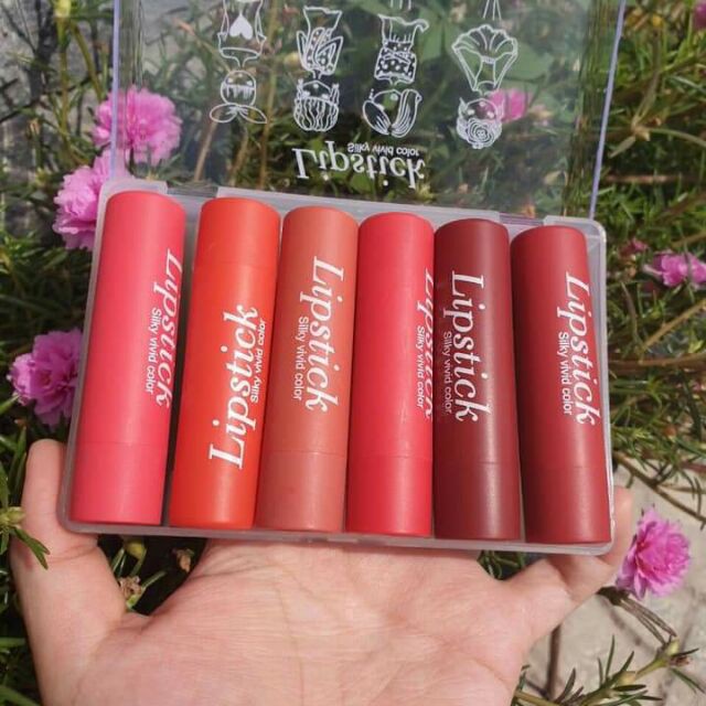 Combo Set 6 Thỏi Son Lipstick Silky Vivid Color (6 Màu 01-06)