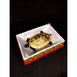 [CỔ NGHỆ THƯƠNG PHẨM] Mực thỏi con rùa