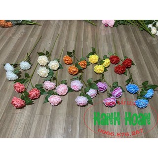 Combo 10 cành hoa trà Mộc Miên 3 bông lớn