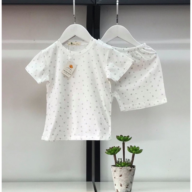 Bộ cotton giấy 2-6 tuổi