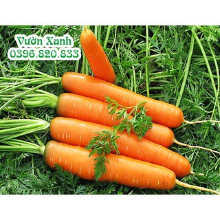sale off Hạt giống cà rốt new Kuroda 5g hàng chuẩn cty.