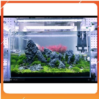 Đá Kẹp Kem 1kg
