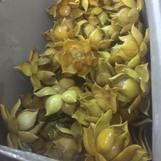 Bộ hoa sen gỗ mít không bình