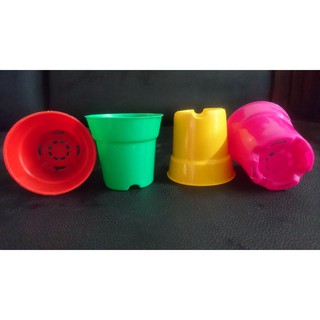 Chậu tròn 5x5 nhiều màu (Set 50 cái)