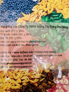 Hạt giống cần tây