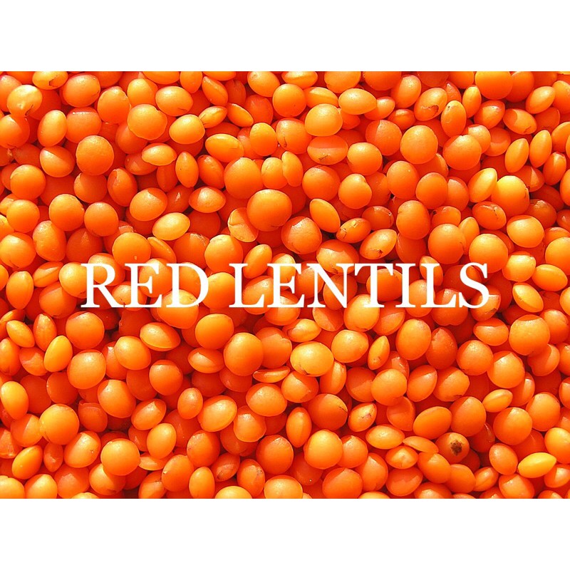 Đậu lăng đỏ nguyên hạt (Red lentils)