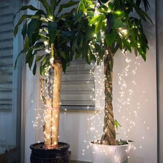 Dây Đèn Led Trang Trí Dài 1m / 2m / 3m / 5m / 10m