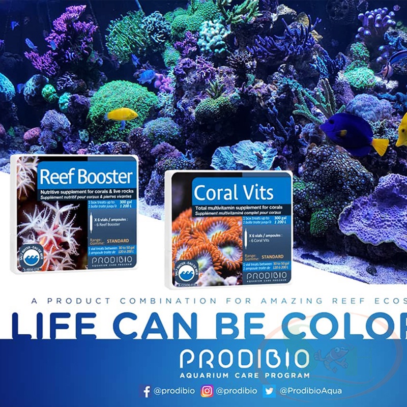Vitamin Nước Biển Prodibio Coral Vits - Hộp 30 ống