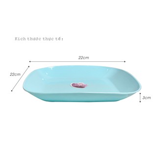 Dĩa vuông TỰ LẬP TL821-22cm