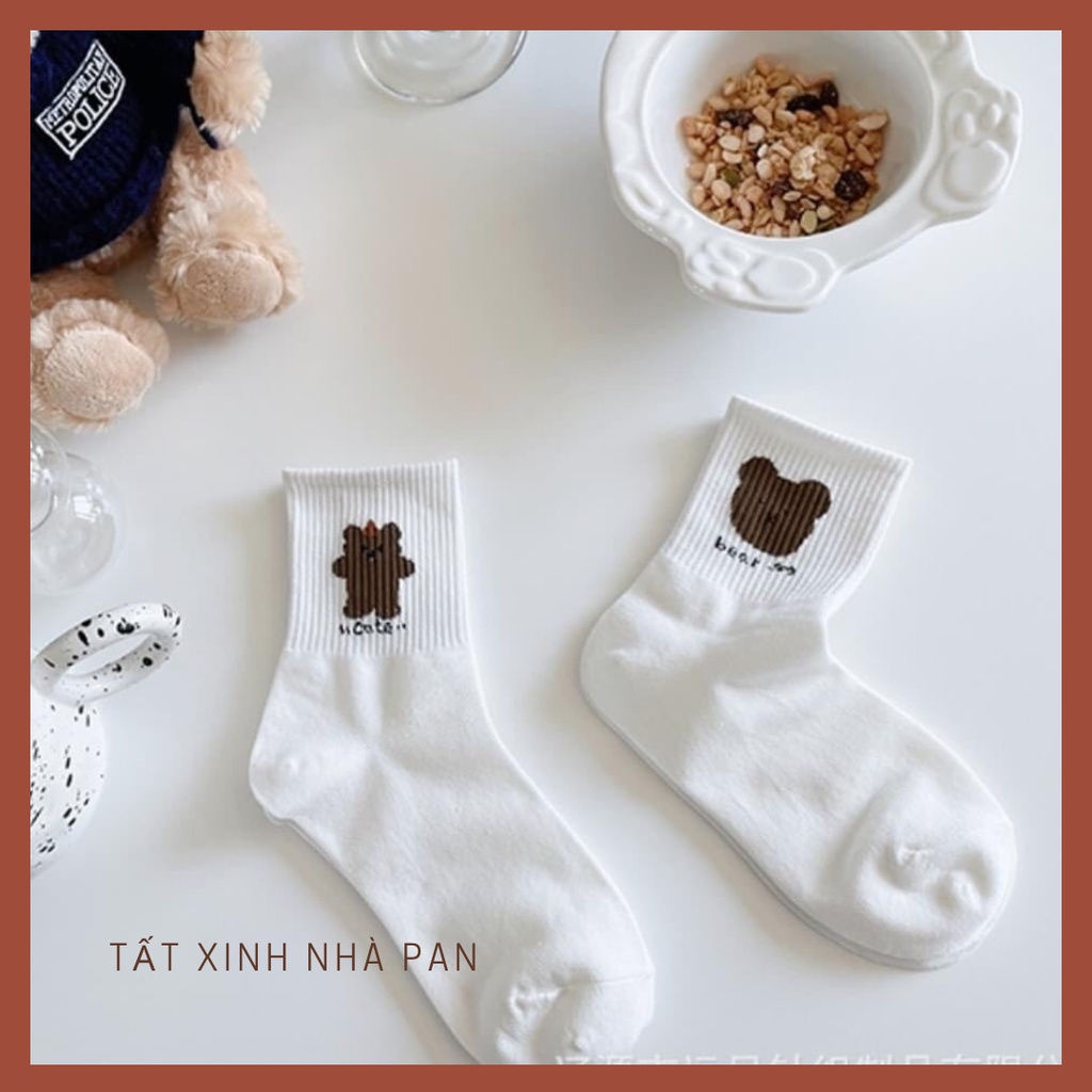 Tất Gấu Teddy chất liệu dày dặn, hình gấu thêu chất lượng PAN16