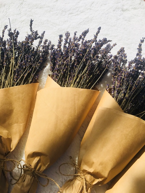 Quà tặng – hộp hoa Lavender khô (shop tự bó đẹp và lãng mạng)