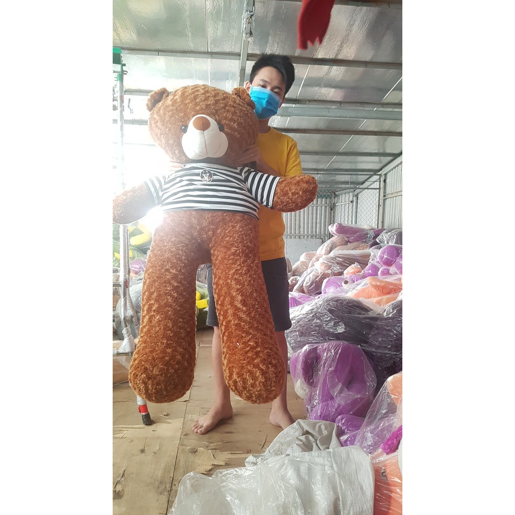 Gấu bông teddy, gấu bông khổng lồ cao 1m1 - 1m4 - 1m6 - 1m8 (Không tính theo khổ vải)