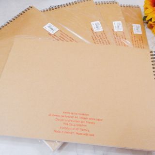 🌸🌸 SỔ LÒ XO AMICO A4 LUYỆN CALLIGRAPHY 🌸🌸