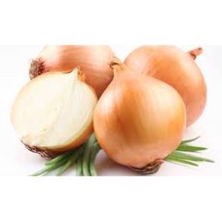 Hành tây sấy khô 55gram (Dried Onion fl thumbnail