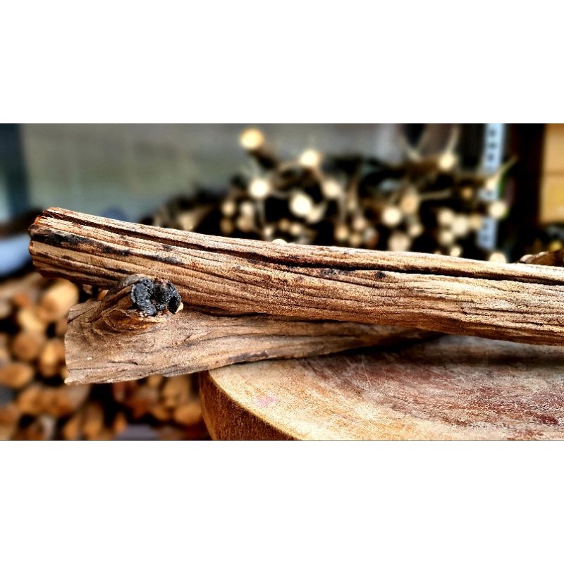 Lũa san đá cành, lũa ống, lũa thạch sùng, săn đá miếng, lũa xương chùm, rể rừng | lũa thủy sinh