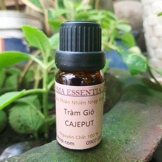 Tinh dầu thiên nhiên tràm gió Cajeput thơm nhà