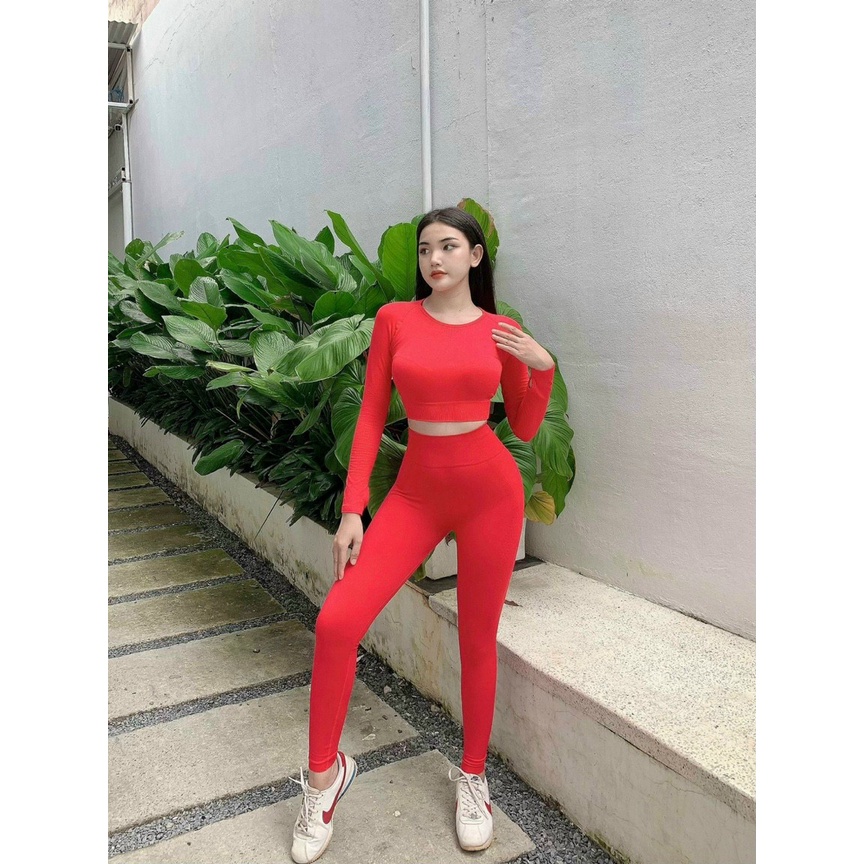 Đồ tập gym yoga thể thao nữ, set bộ dệt kim áo crop dài tay quần dài chun mông lưng cao gen bụng Bin Sport BD174