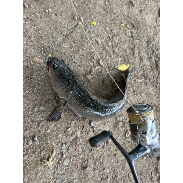 Lưỡi câu huế full bộ thủ công 100%