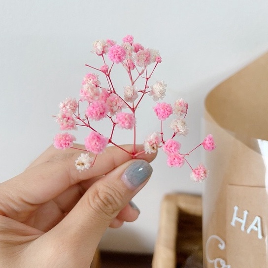 Nhánh hoa baby khô, hoa trang trí thiệp, bánh kem, qùa tặng