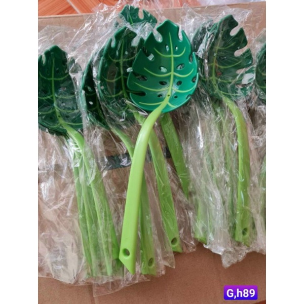 MÔI MÚC HÌNH LÁ CÂY ĐỘC ĐÁO