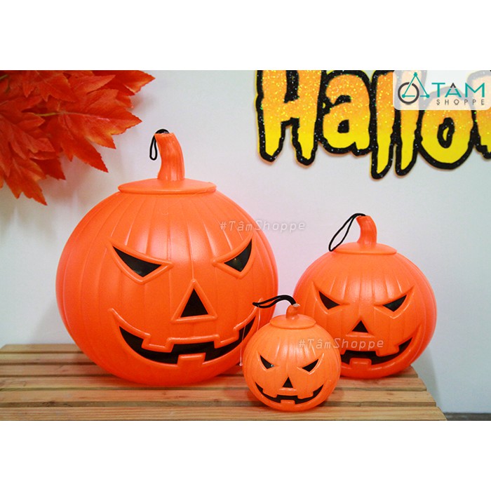 TRÁI BÍ NGÔ TRANG TRÍ HALLOWEEN