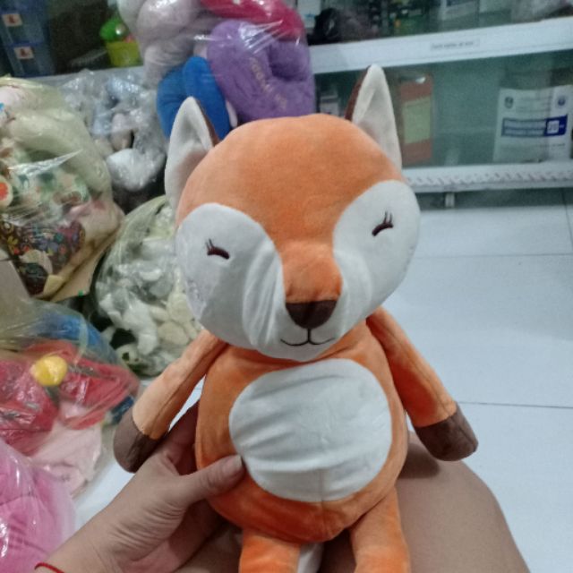 Gấu của Quyên lâm