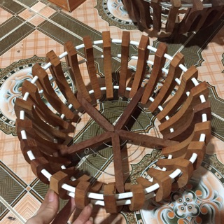 Combo 5 chậu size 40cm