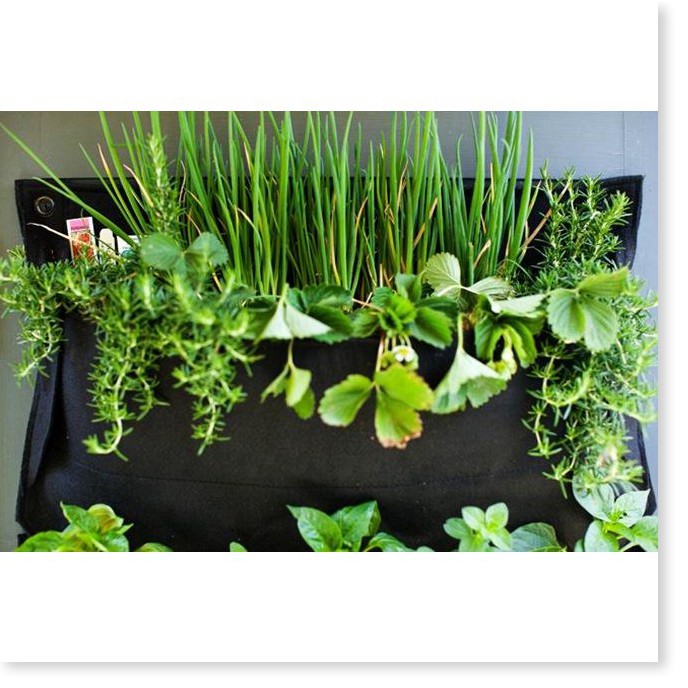 Túi trồng cây  ⛔GIÁ SỈ⛔  Túi vải trồng rau 21 ngăn giúp tận dụng diện tích, trồng cây trong nhà 3303