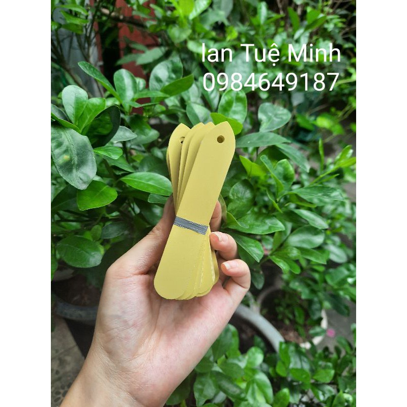 Set 100 Thẻ Treo Nhiều Màu Ghi Tên Cây, Thẻ Ghi Tên Lan - Đánh Dấu Thông Tin Cây - Loại Nhựa Mềm