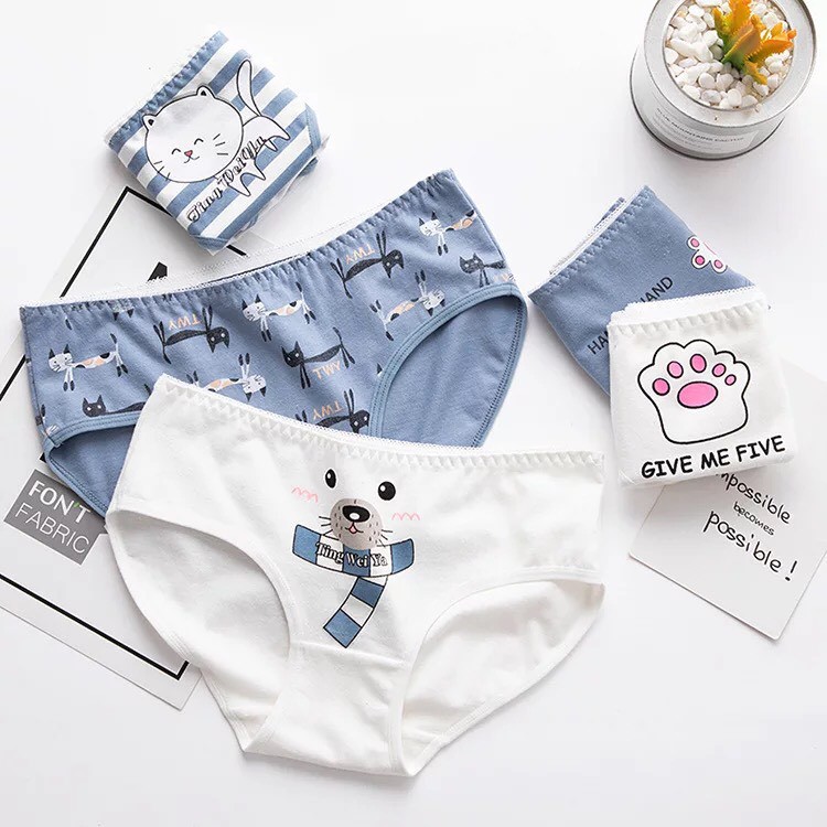 Set 5 quần lót cotton siêu thoáng, siêu cute - Quần chip hộp