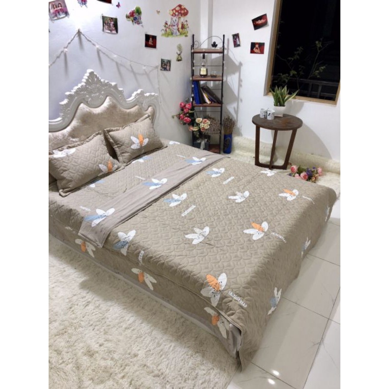 Bộ ga phủ cotton đũi trần bông đủ bộ. Chat  chọn mẫu