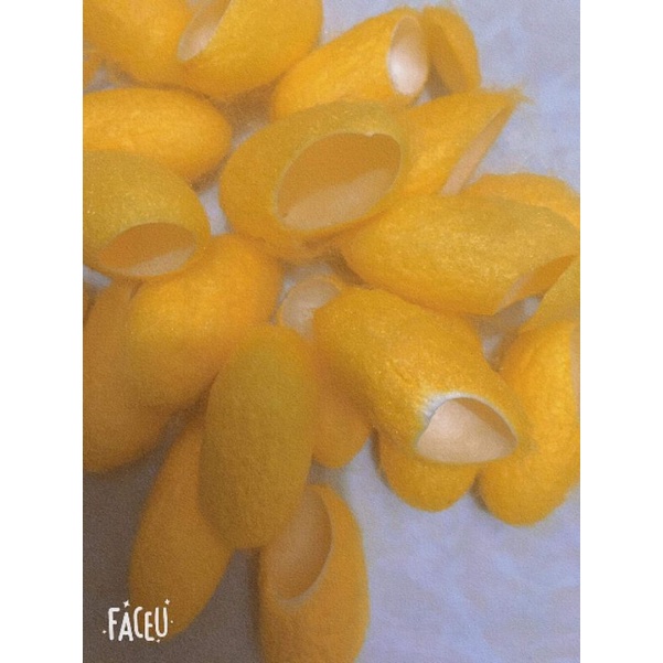kén tằm tẩy tế bào chết ,dưỡng dạ căng mịn,loại bỏ mụn cám ,mụn đầu đen,cải thiện làn da sỉn màu(combo 20 kén) | BigBuy360 - bigbuy360.vn