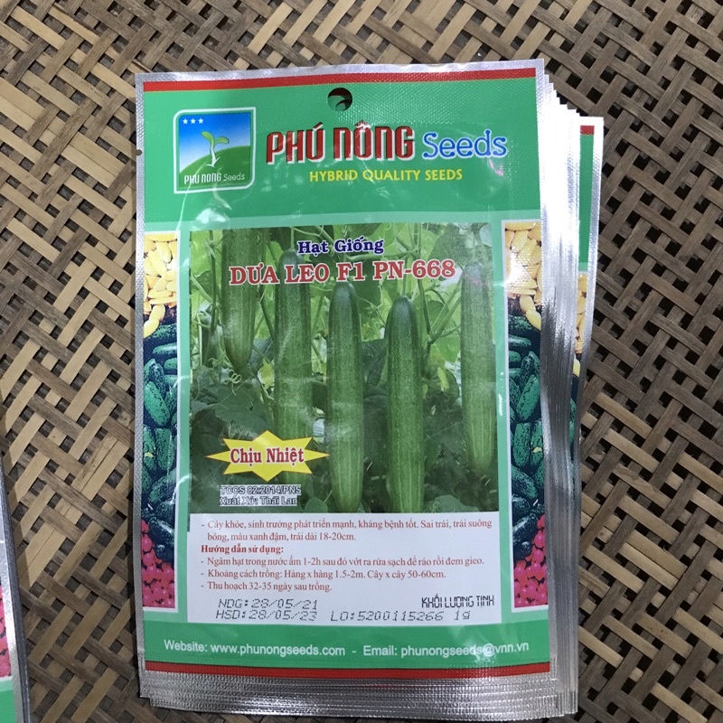 HẠT GIỐNG DƯA CHUỘT NẾP LAI F1 1g