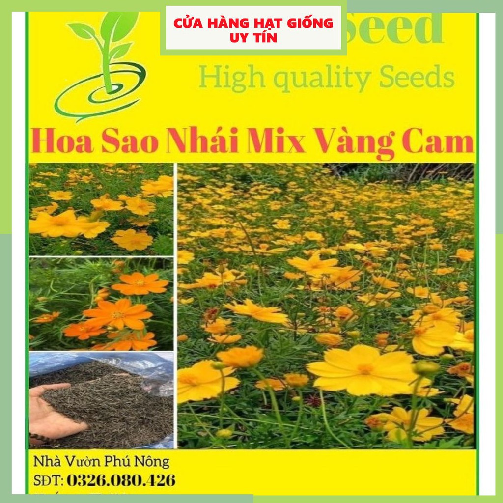 [Gói 300 hạt] Hạt Giống Hoa Sao Nhái F1 Mix Vàng Cam Loại Siêu Dễ Trồng, Hoa Nở Đẹp Tặng kèm Hướng Dẫn Trồng