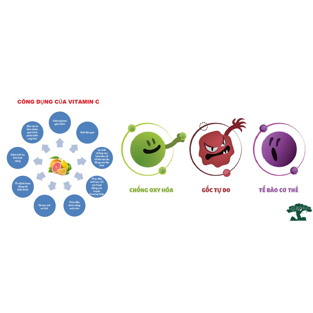 KẸO C CÔNG CHÚA ELSA